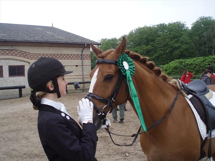 Anden særlig race Tots Ramik billede 12