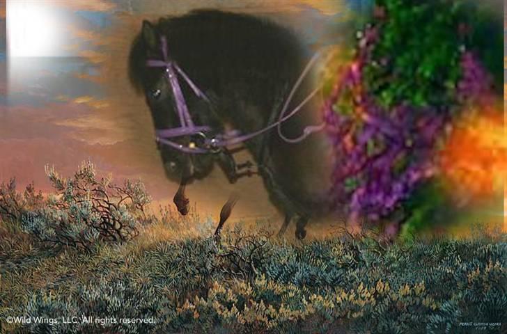 Anden særlig race Quite Beauty* solgt* billede 6