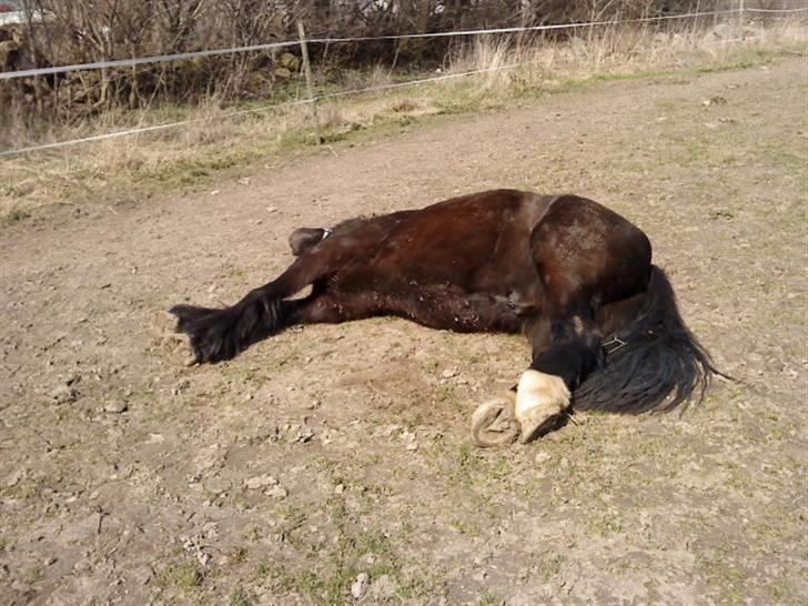 Tinker Flamingo FORTID <3 - ZzZzZzZzZz billede 19