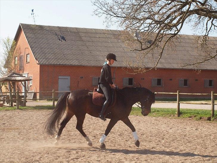 Anden særlig race _EMERSON - 24 April 11. billede 13