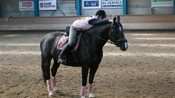 Oldenborg   Miranda Himmelhest  :'( <3 - Dressur Træning d. 14 April 2010 billede 13