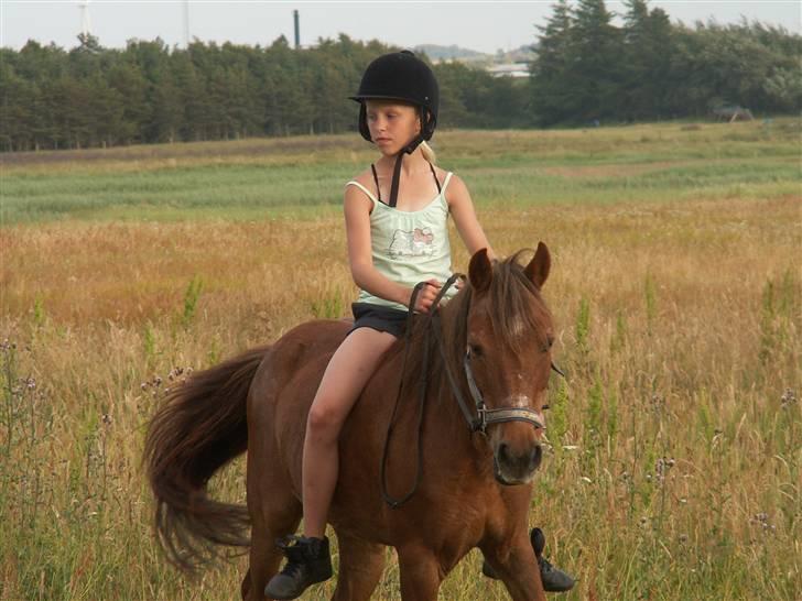 Anden særlig race Silas *Aflivet d.8/3-11* - På tur i natur ;) (Lillesøster) billede 5