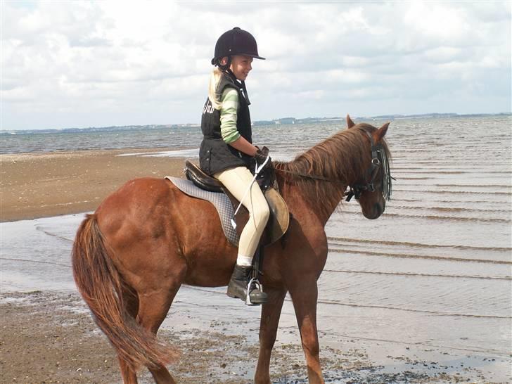 Anden særlig race Silas *Aflivet d.8/3-11* - På tur ved vandet <3 (Lillesøster) billede 7