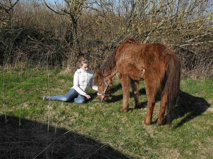 Anden særlig race Silas *Aflivet d.8/3-11* - Mere fredfyldt bliver det ikke? ;)<3 billede 8