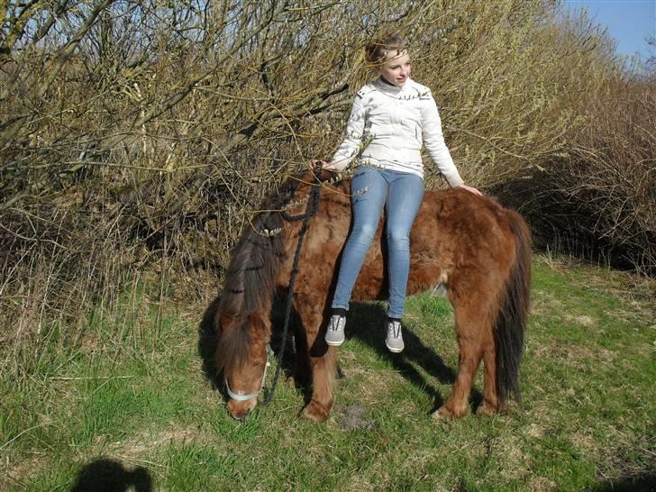 Anden særlig race Silas *Aflivet d.8/3-11* - Han er så nem :)<3 billede 9