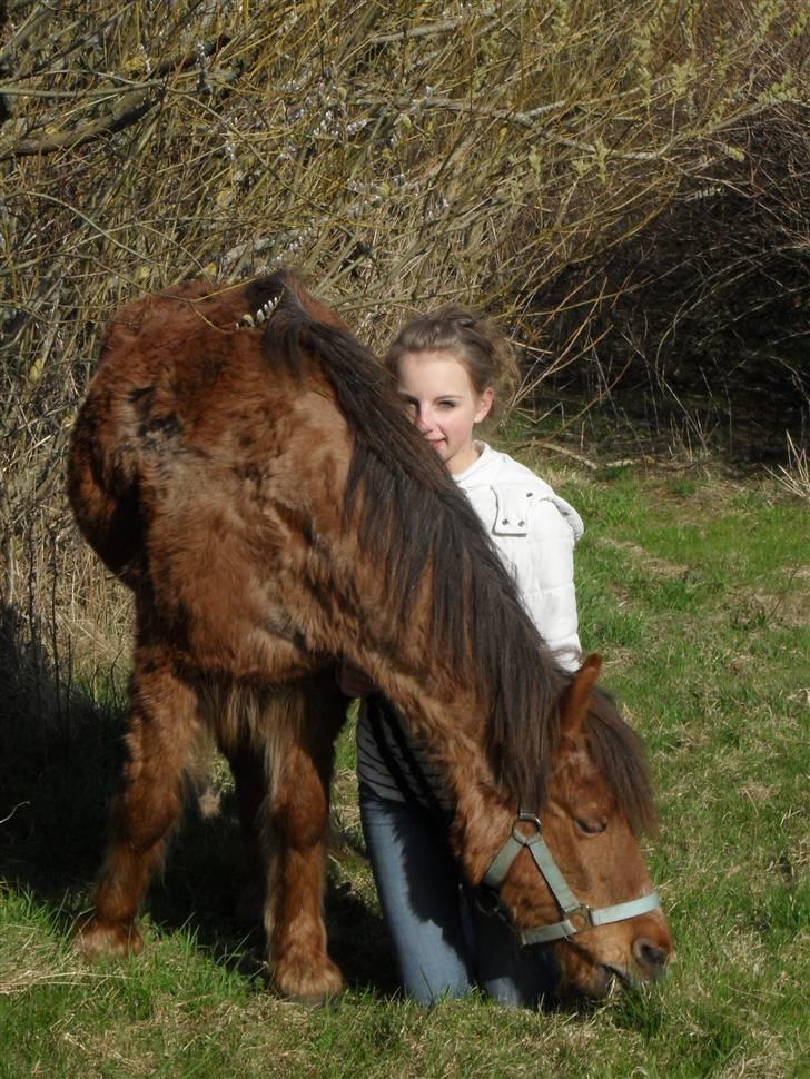 Anden særlig race Silas *Aflivet d.8/3-11* - Super fotogen x)<3 billede 10