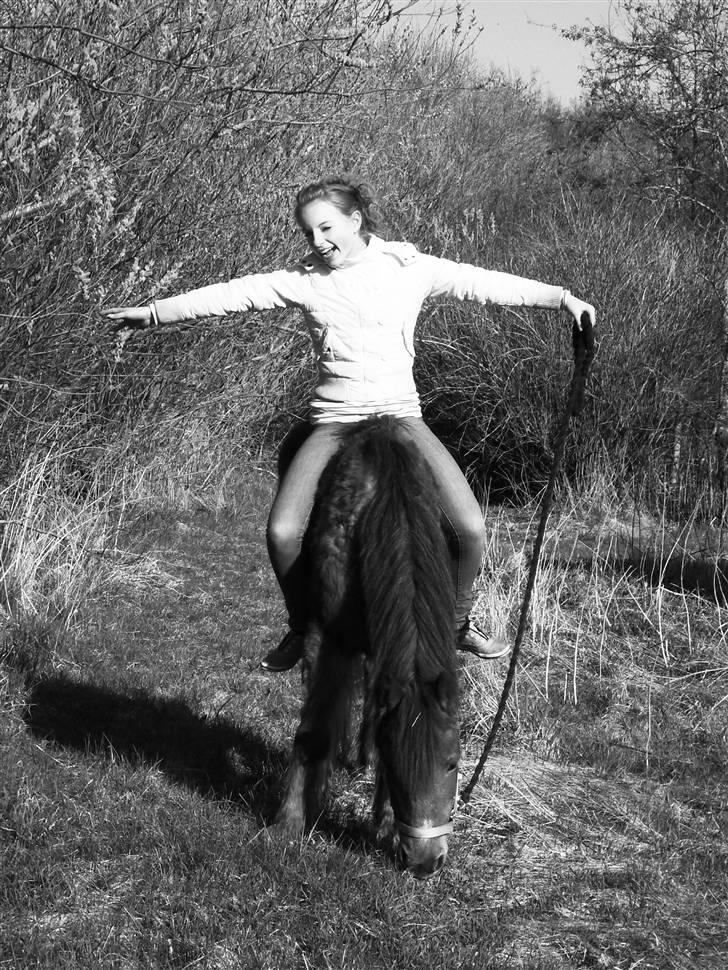 Anden særlig race Silas *Aflivet d.8/3-11* - Du altså dejlig! <3 billede 11