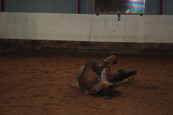 DSP Nørlunds Argentan SOLGT - rulle  billede 12