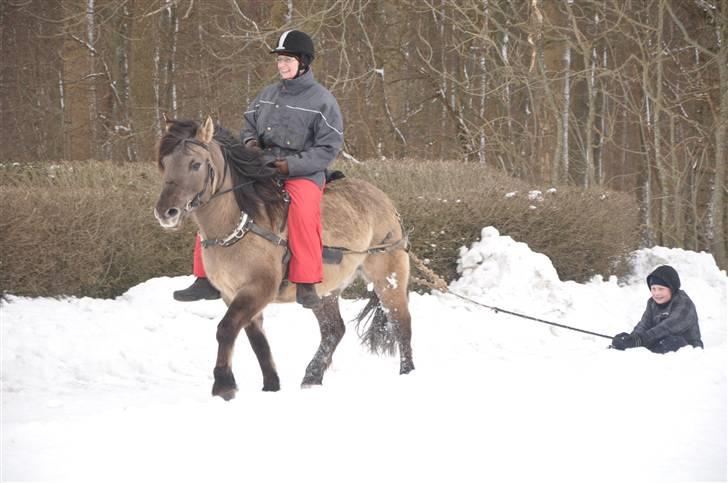 Anden særlig race Janosch billede 5