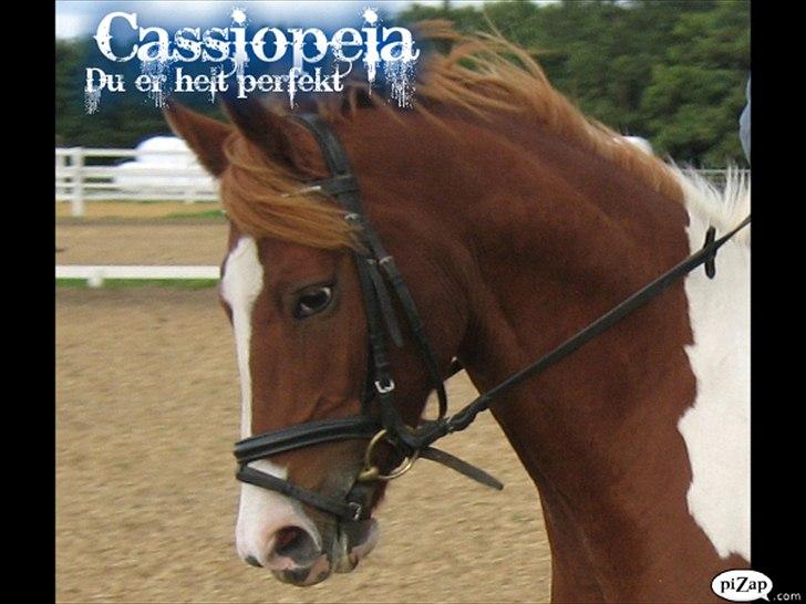 Anden særlig race Cassiopeia<3 Savnet - velkommen til cassies profil <3<3<3<3 billede 1