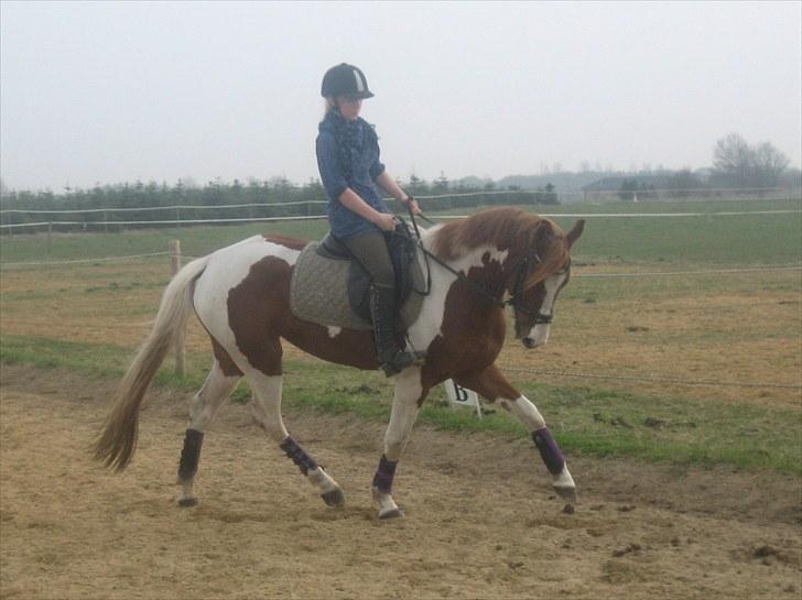 Anden særlig race Cassiopeia<3 Savnet billede 13