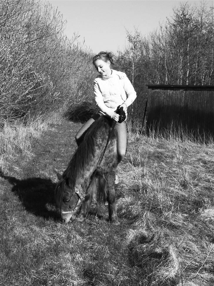 Anden særlig race Silas *Aflivet d.8/3-11* - Når han ikke vil som jeg vil x)<3 billede 12