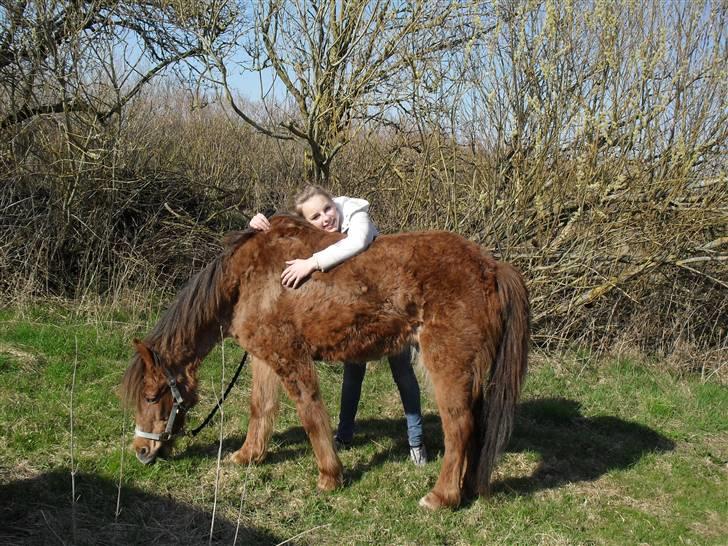 Anden særlig race Silas *Aflivet d.8/3-11* - Skøøøn! :D billede 13