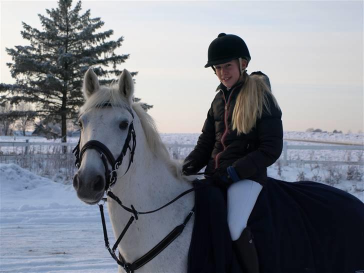 Anden særlig race Irish Jumper (SOLGT) billede 1