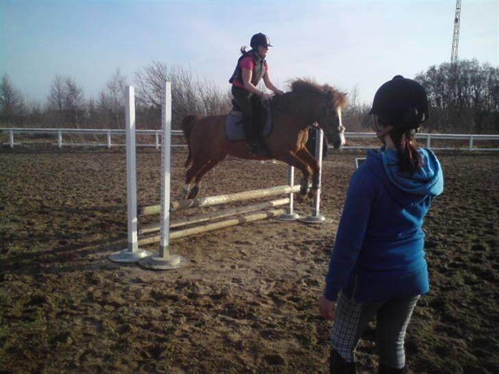 Anden særlig race Pikatju Mitalt!í;<3333333 billede 11