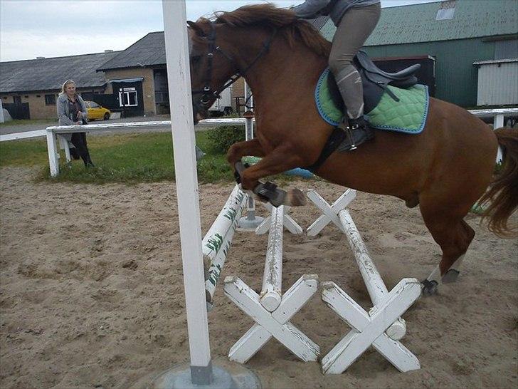 Anden særlig race Pikatju Mitalt!í;<3333333 billede 12