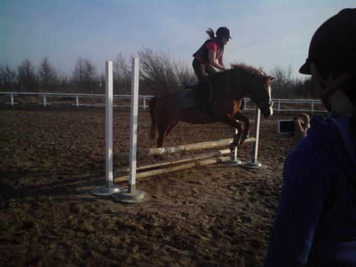 Anden særlig race Pikatju Mitalt!í;<3333333 billede 13