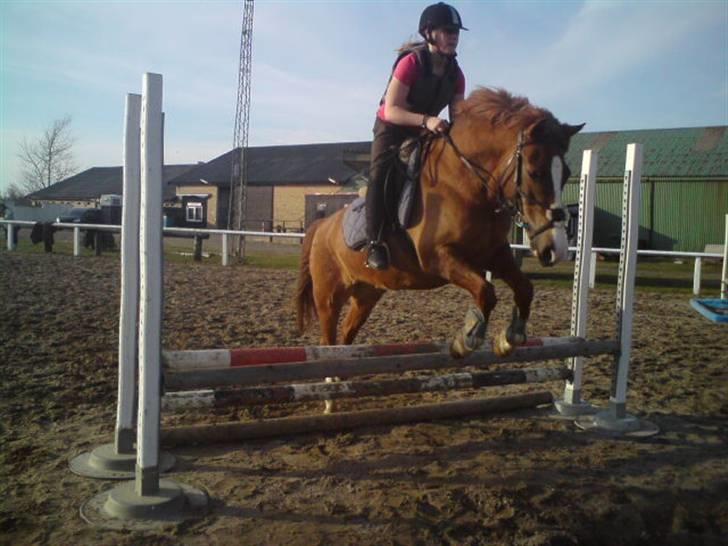 Anden særlig race Pikatju Mitalt!í;<3333333 - vi er to men svæver som en :D<3333333 billede 14