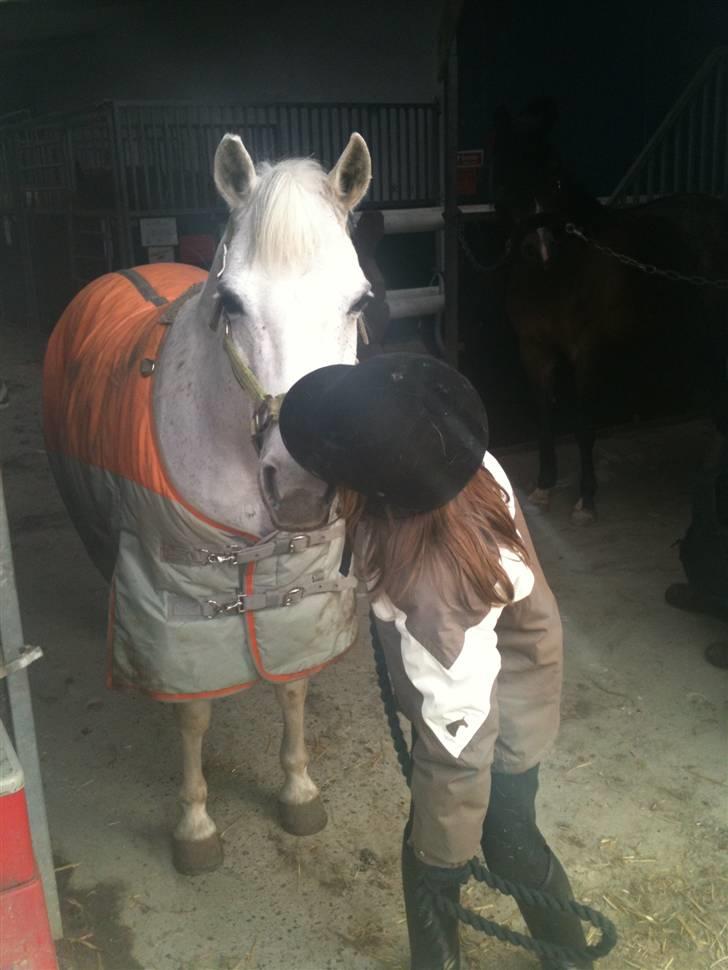 Anden særlig race Skovbjerggårds coxx - Elsker dig (: billede 3