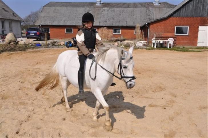 Anden særlig race Skovbjerggårds coxx - Hygge ridning, med Lærke og Isabella billede 4