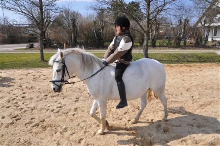 Anden særlig race Skovbjerggårds coxx - Der hjemme.. (: billede 5