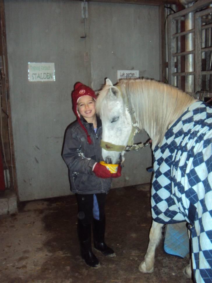 Anden særlig race Skovbjerggårds coxx billede 7