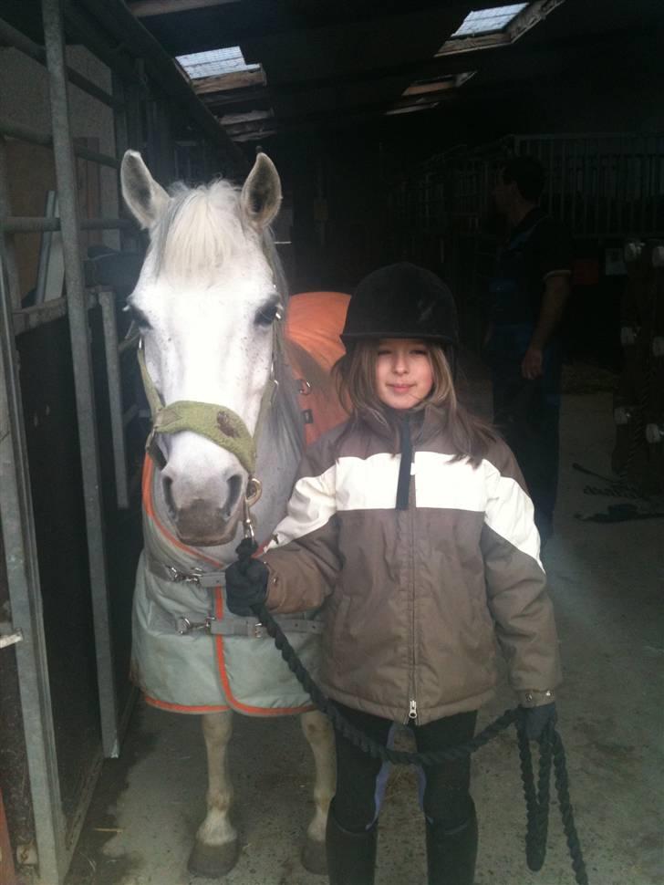 Anden særlig race Skovbjerggårds coxx billede 8