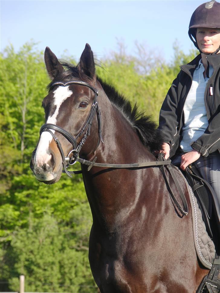 Anden særlig race Kasper  - Endnu et billede af Kappe :o) billede 11