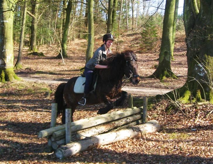 Islænder Flugfaxi fra Solkær billede 20