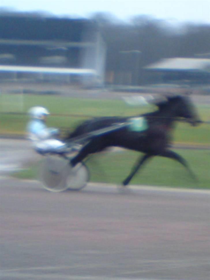 Traver Black Progress - En fornøjelse at se på i Charlottenlund ;) billede 14