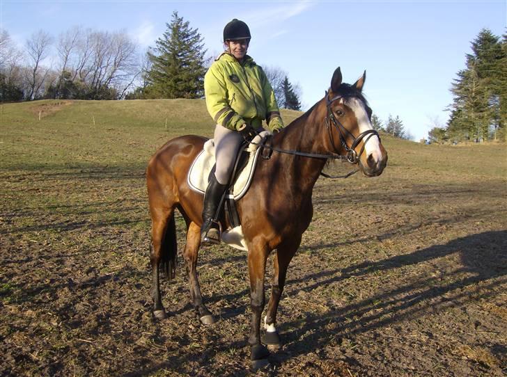 Fuldblod (XX) Competence (DEN) billede 9