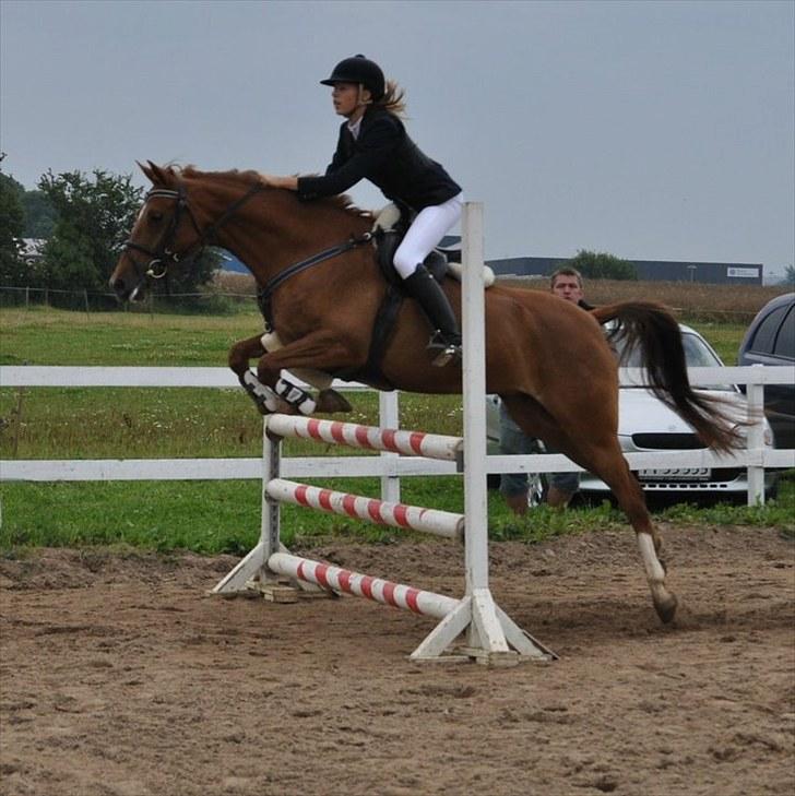 DSP Lille Asserholt Naomi [KLUBMESTER 2011] - LC i BOR (2. stævne)  **Isabella** billede 8