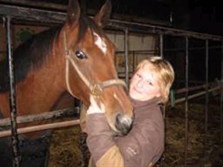 Anden særlig race Dakota billede 14