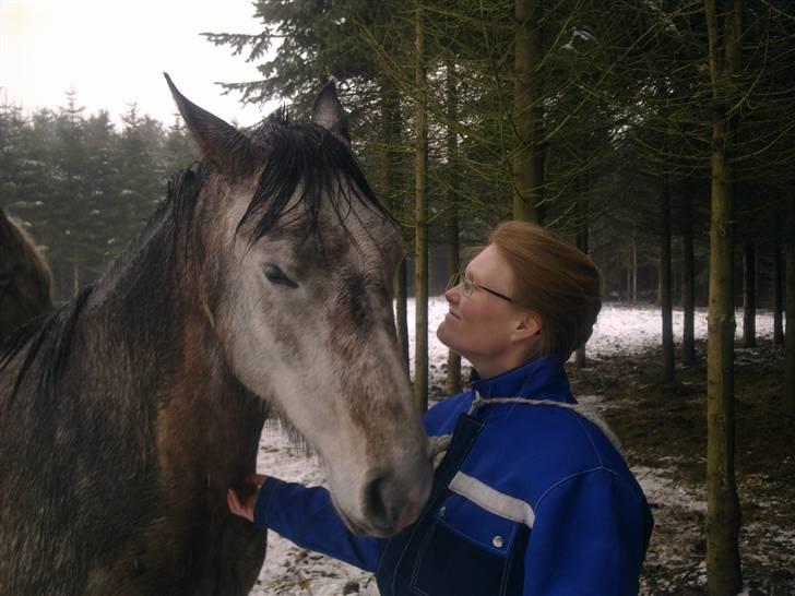 Shagya Araber (SH) Evita - januar 2010 billede 19