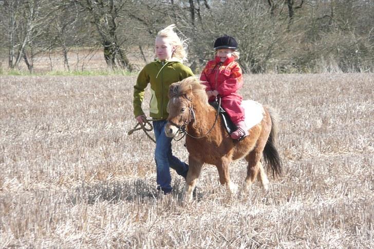 Miniature Tarzan billede 11