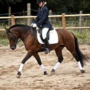 Anden særlig race Funny Face (gamle part):`