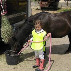 Anden særlig race Bella