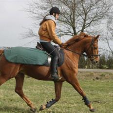 Anden særlig race Thea