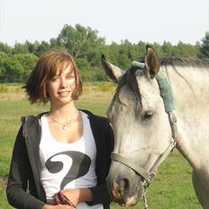 Arabisk fuldblod (OX) Ja'pih