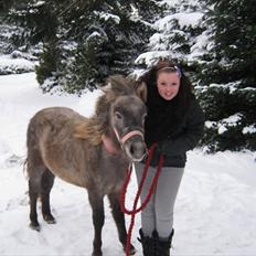 Anden særlig race Breaking Dawn * solgt :' *