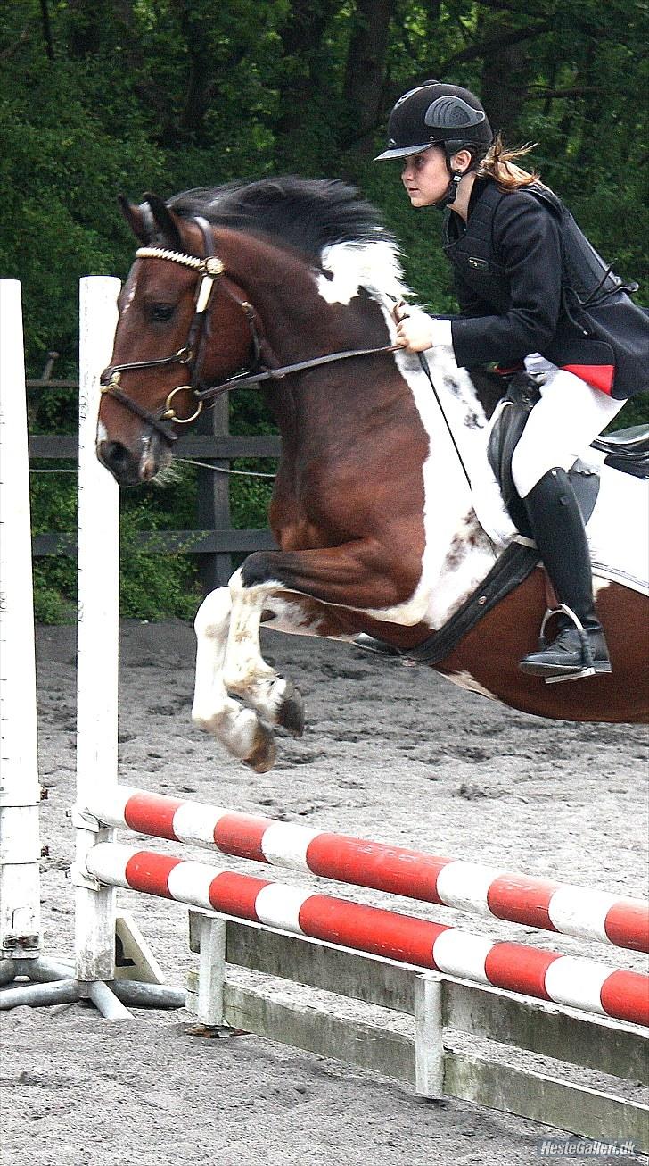 Anden særlig race Apache<3 rider ikke mere - Stævne på LRT 2 plads :) Foto AC taak billede 7