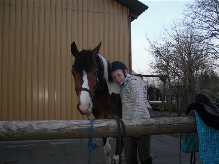 Pinto Østers Hera - Er hun ikke også sød hende Hera, ja det er jeg også siger min mor. billede 5