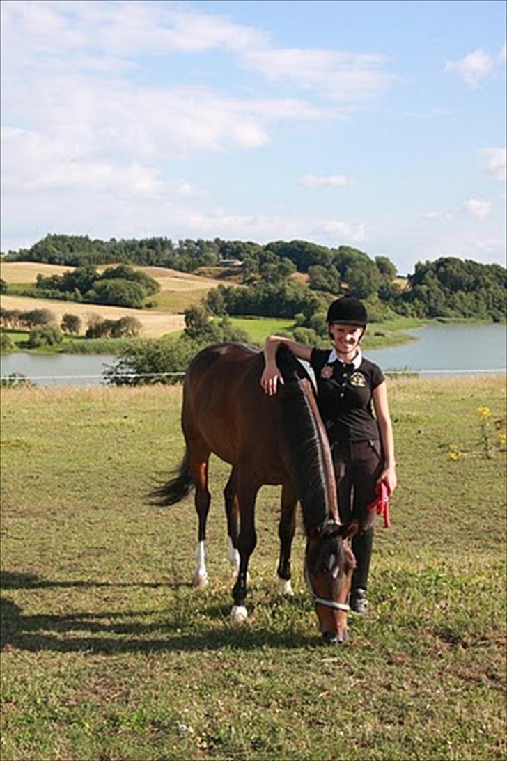 New Forest Opbroek´s Aron (solgt) -  jeg elsker dig pony!! <3  billede 11