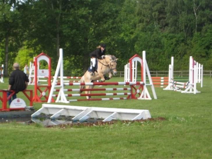 Fjordhest Strædesgaardens Max Motor - OHR stævne 09 billede 12