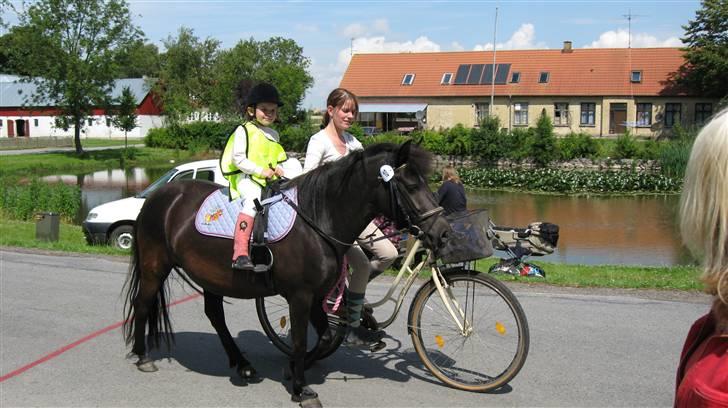 Anden særlig race Bella billede 2