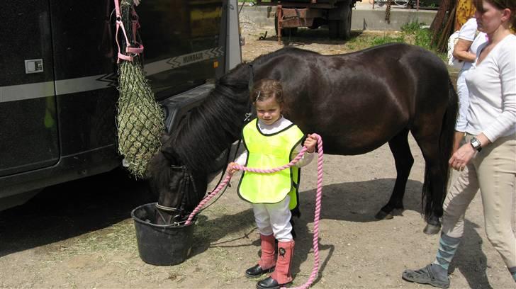 Anden særlig race Bella billede 3