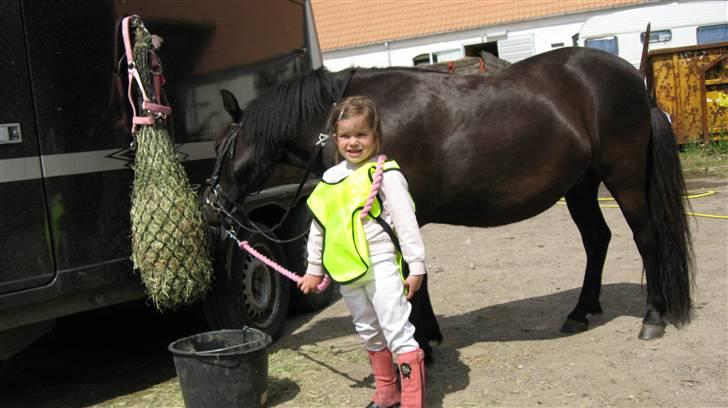 Anden særlig race Bella billede 4