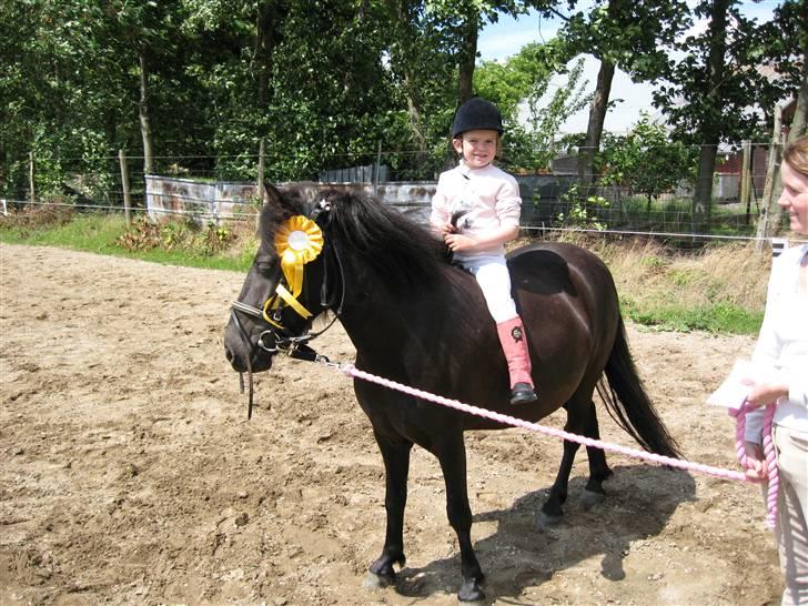 Anden særlig race Bella billede 5