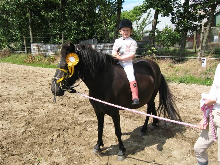 Anden særlig race Bella billede 6