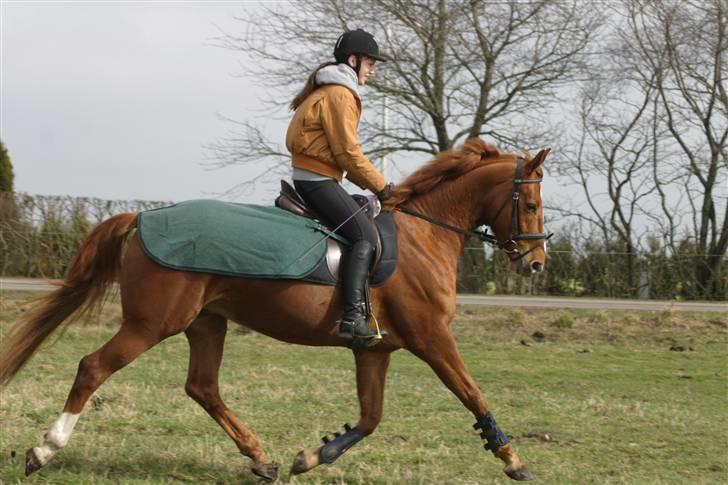 Anden særlig race Thea billede 1